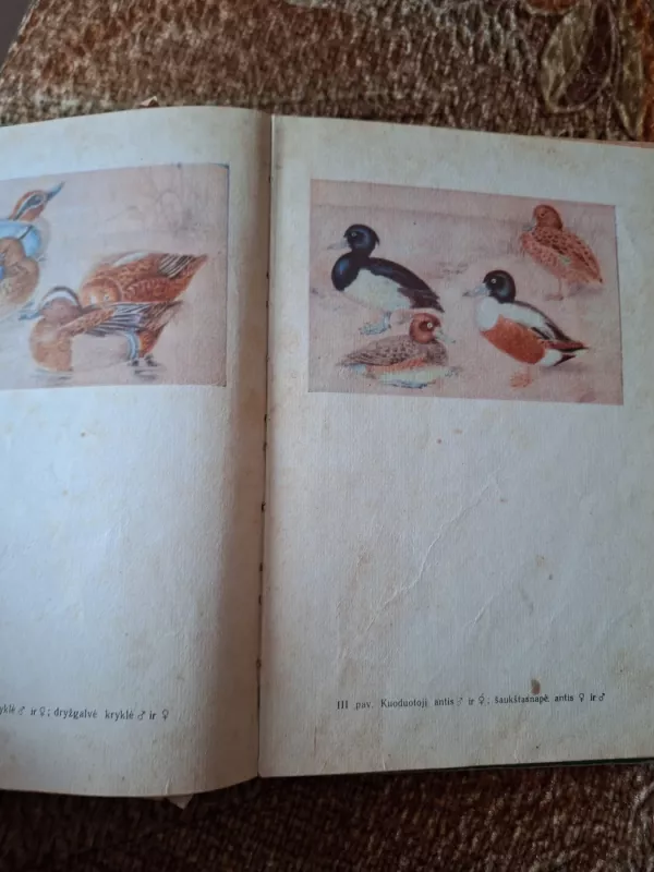Miško paukščių bei žvėrių biologija ir medžioklės ūkio pagrindai - T. Ivanauskas, ir kiti , knyga 5