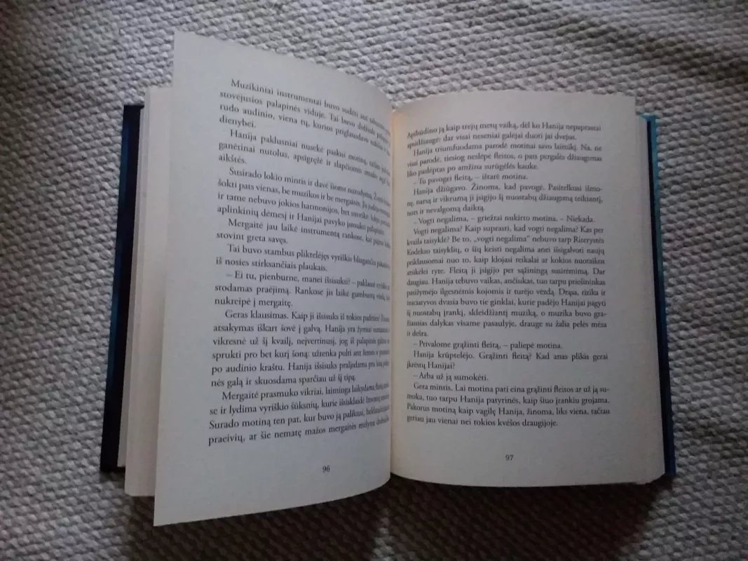 Hanija, Šviesos Riterė - Silvana De Mari, knyga 4