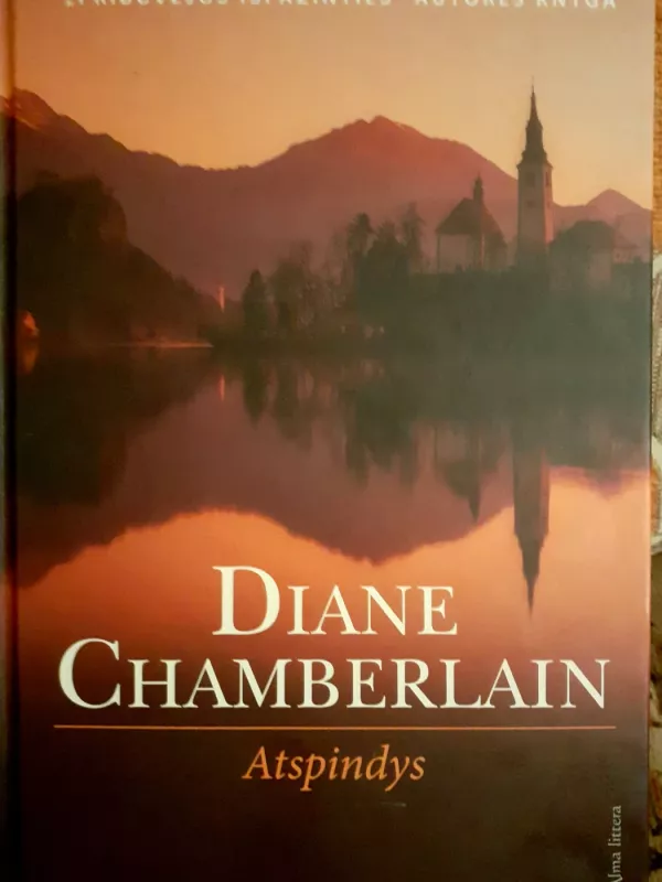 Atspindys - Diane Chamberlain, knyga 2