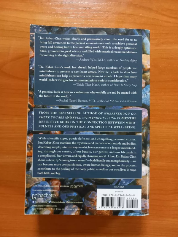 Coming to Our Senses - Jon Kabat-Zinn, knyga 3