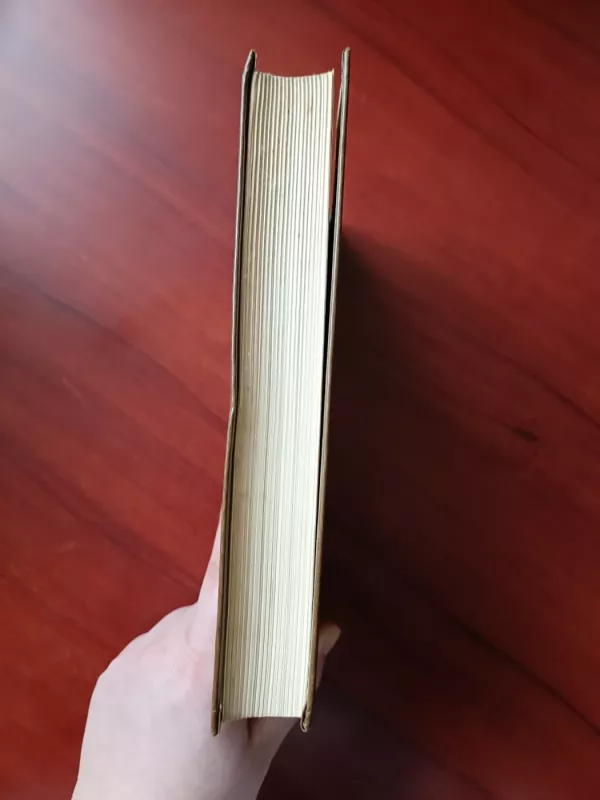 Apsakymai. Kam skambina varpai - Andersonas Šervudas, Hemingvėjus Ernestas, knyga 3