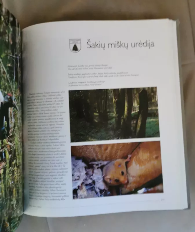 Lietuvos valstybiniai miškai gamtai ir žmonėms - Romualdas Barauskas, knyga 6