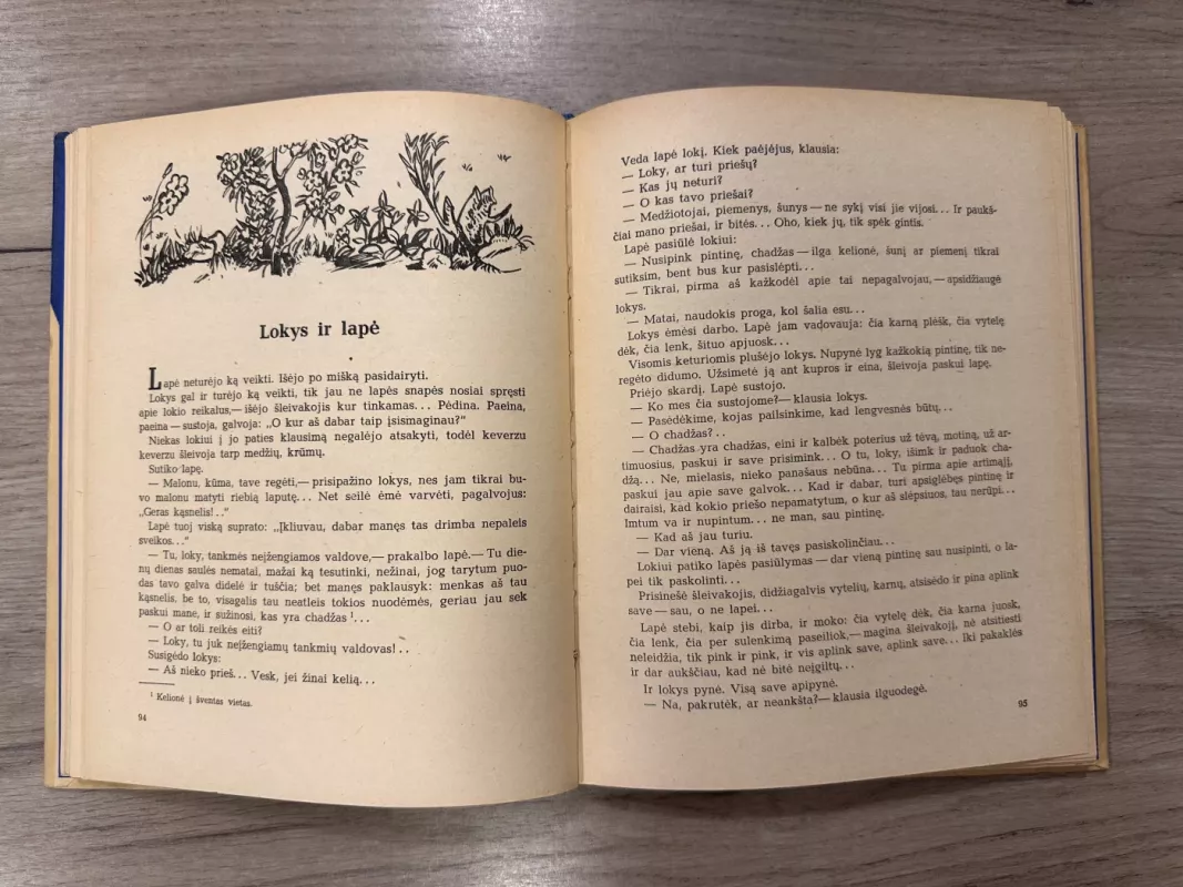 Kurdų pasakos. Viesulo raitelis - Autorių Kolektyvas, knyga 3