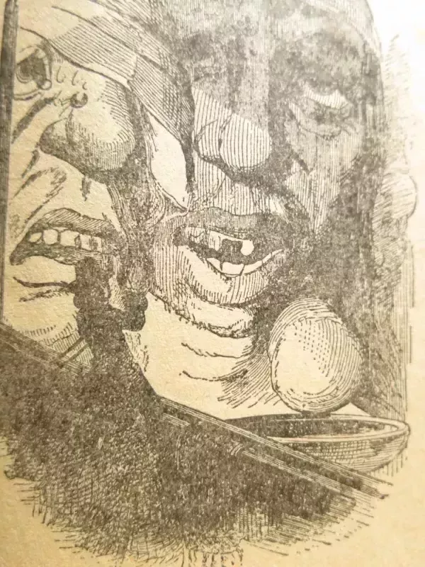 Guliverio kelionės - Jonathan Swift, knyga 5