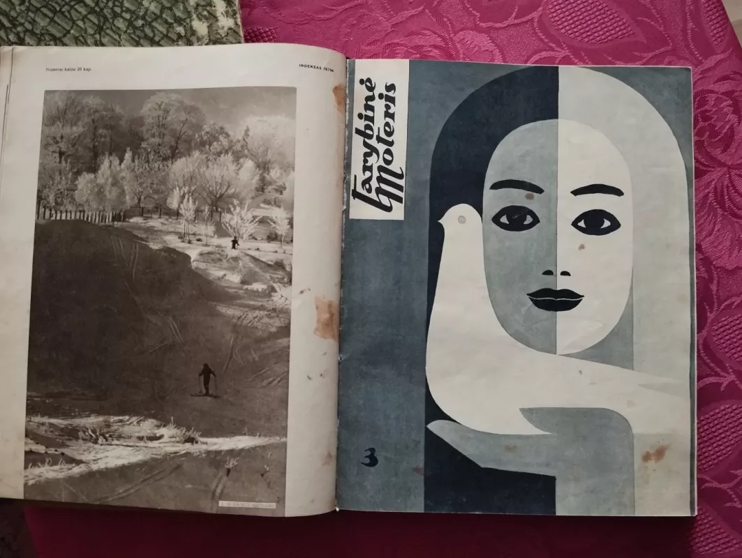 Tarybinė moteris, 1963 m. Nr. 1-12 - Autorių Kolektyvas, knyga 4