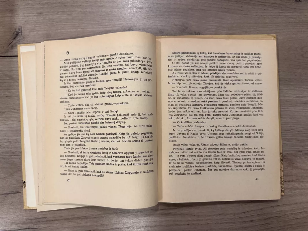 Broliai Liūtaširdžiai - Astrid Lindgren, knyga 4