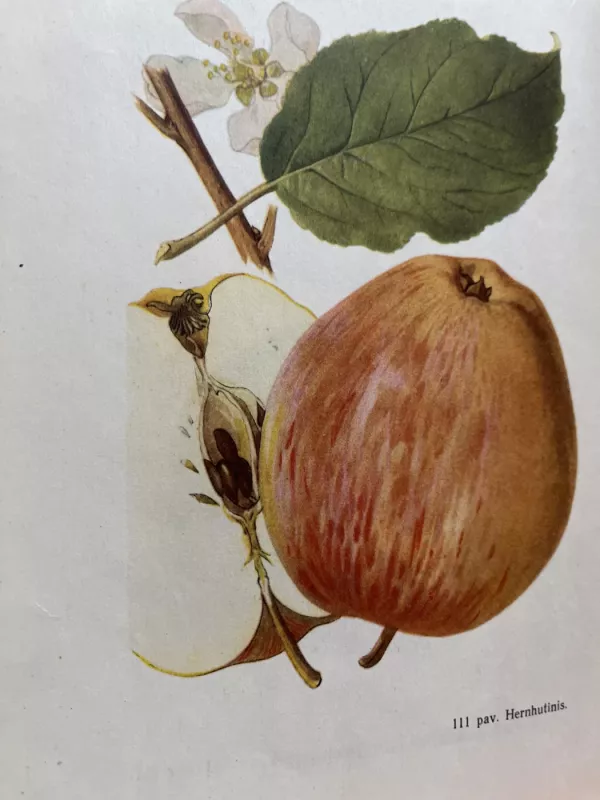 Sodininkystė - V. Venskutonis, knyga 3