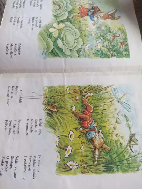 Zuikis Puikis - Eduardas Mieželaitis, knyga 5