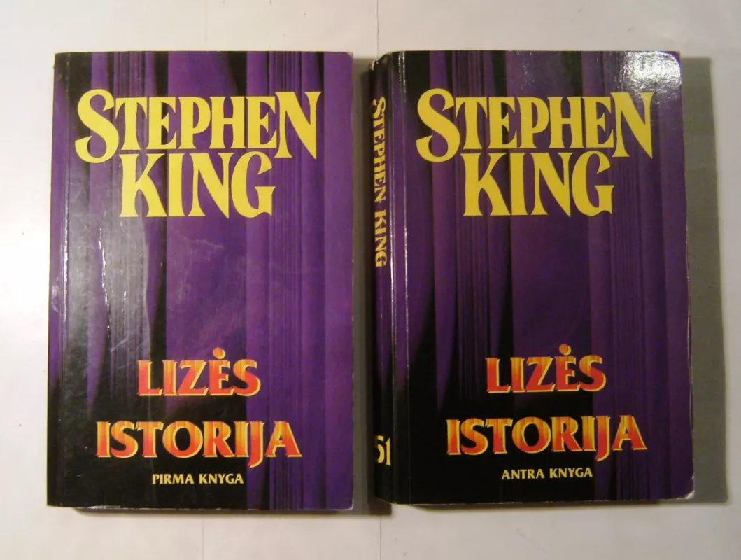 Lizės istorija (2 knygos) - Stephen King, knyga 2