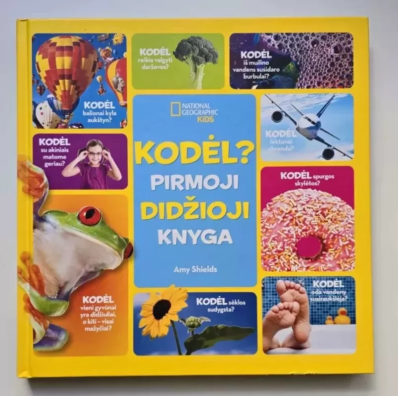 Kodėl? Pirmoji didžioji knyga - Amy Shields, knyga 2