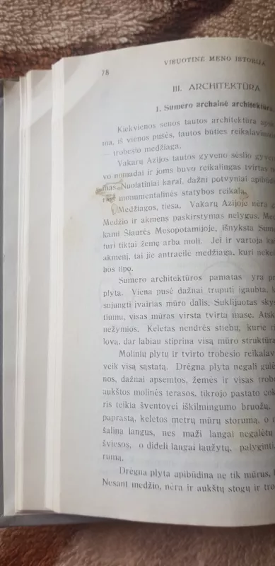 Visuotinė meno istorija (1 tomas) - Jurgis Baltrušaitis, knyga 6