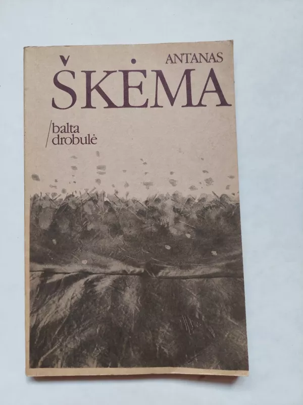 Balta drobulė - Antanas Škėma, knyga 2