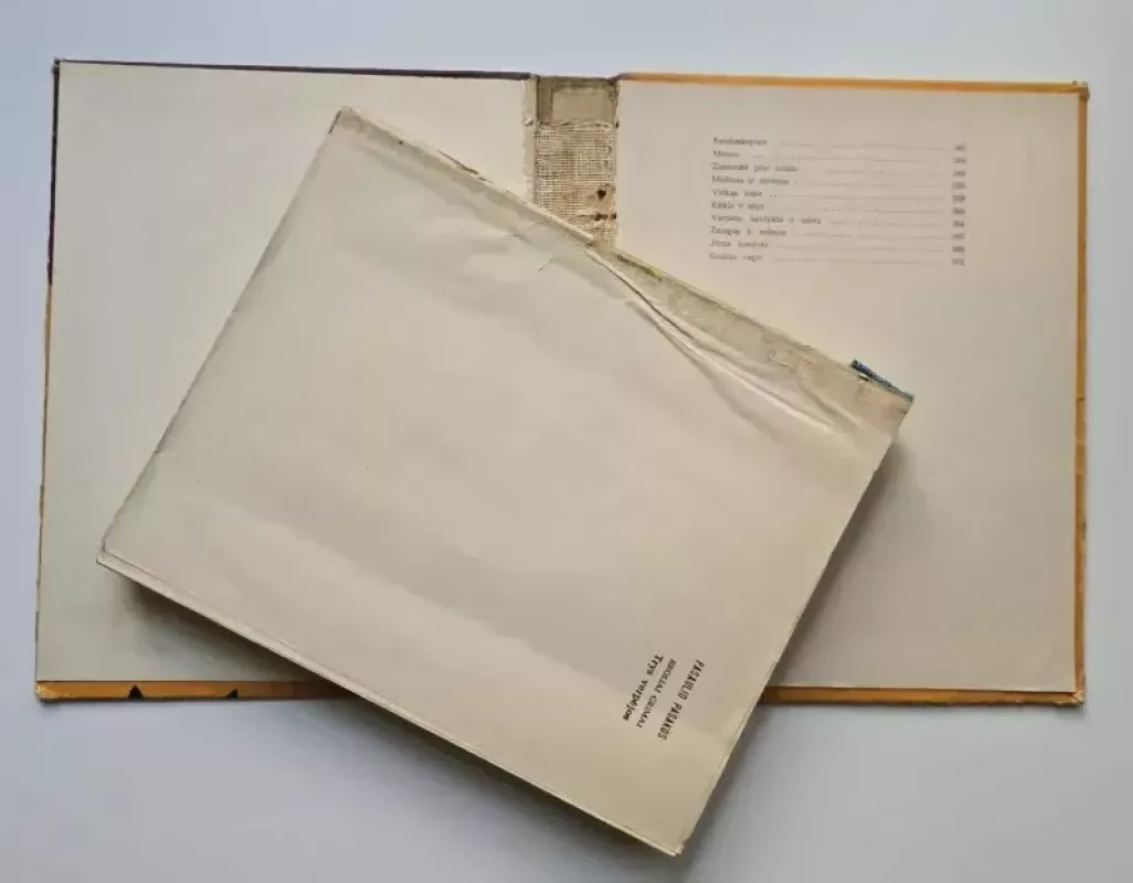 Trys verpėjos -  Broliai Grimai, knyga 6