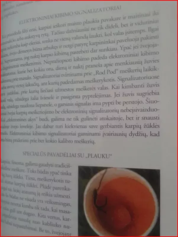 Kur žvejoti? - Viktoras Armalis, knyga 5