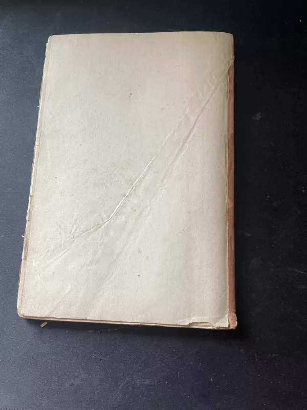 Nusikaltimas ir bausmė (3 dalis) - Fiodoras Dostojevskis, knyga 4