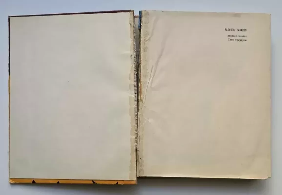 Trys verpėjos -  Broliai Grimai, knyga 3