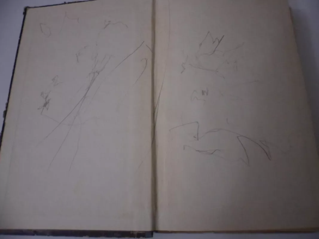 Atidėta meilė - Ruta Kraft, knyga 3