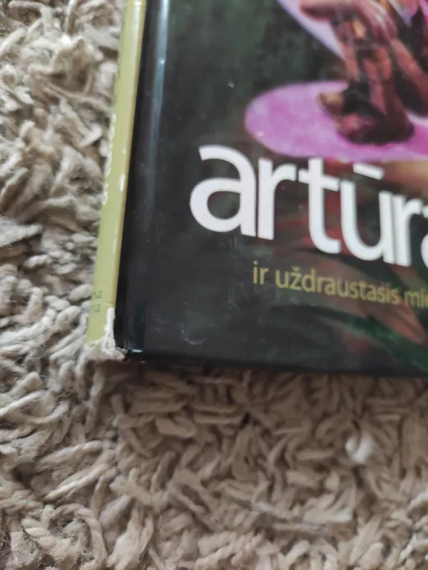 Artūras ir uždraustasis miestas - Luc Besson, knyga 3