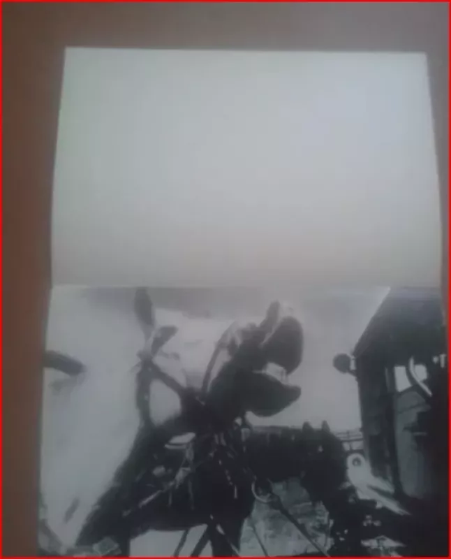 Jumoristinės fotografijos parodos katalogas - S. Krivickas, knyga 4