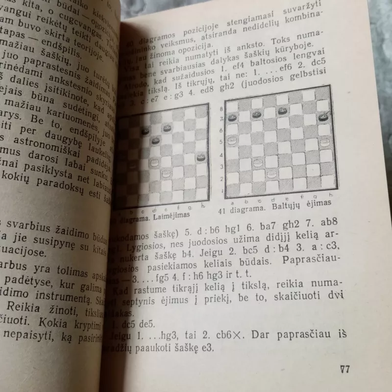 Žaidžiame šaškėmis - V. Gorodeckis, knyga 4