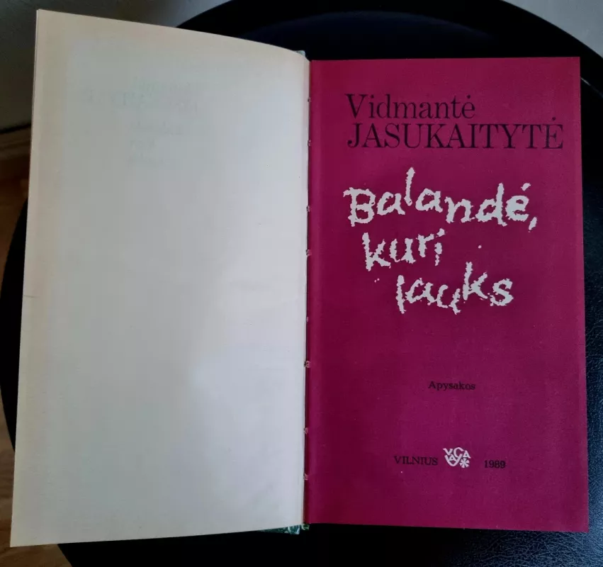 Balandė, kuri lauks - Vidmantė Jasukaitytė, knyga 4