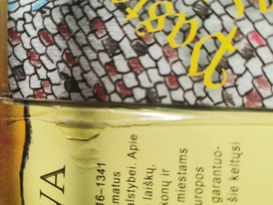 Lietuvos istorija nuo seniausių laikų iki šių dienų - Autorių Kolektyvas, knyga 6