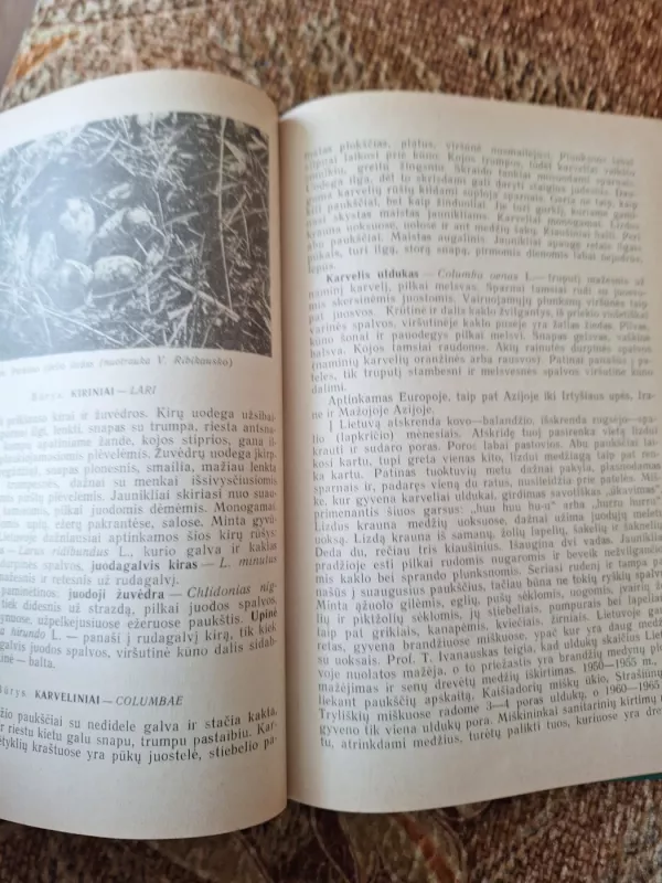 Miško paukščių ir žvėrių biologija ir medžioklės ūkio pagrindai - Autorių Kolektyvas, knyga 5