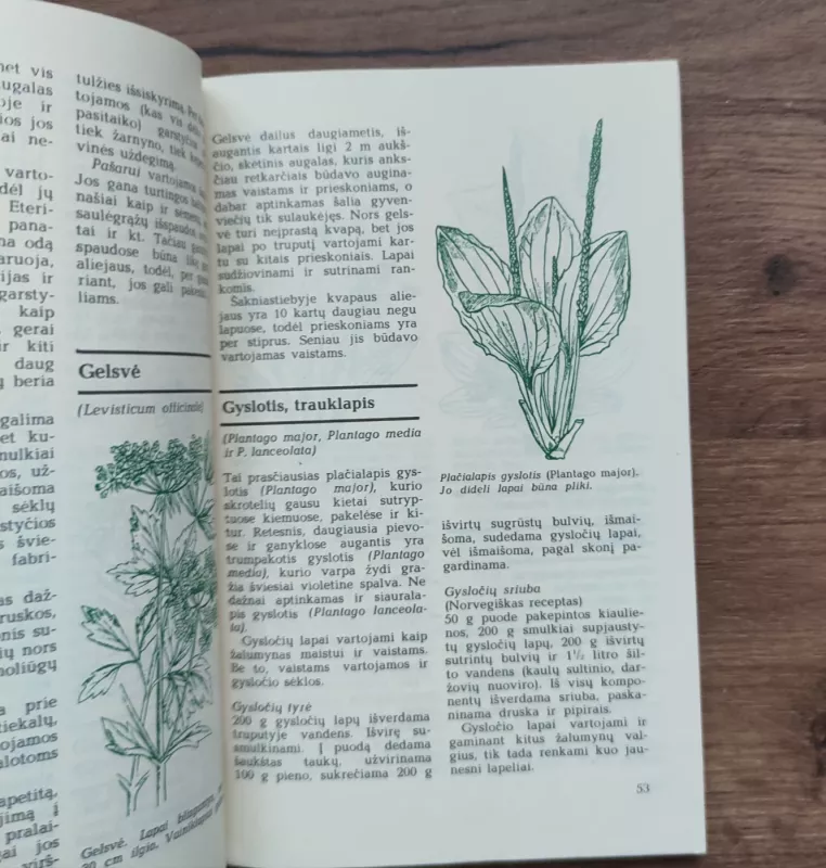 Kam tinka augalai - T. Rautavara, knyga 6