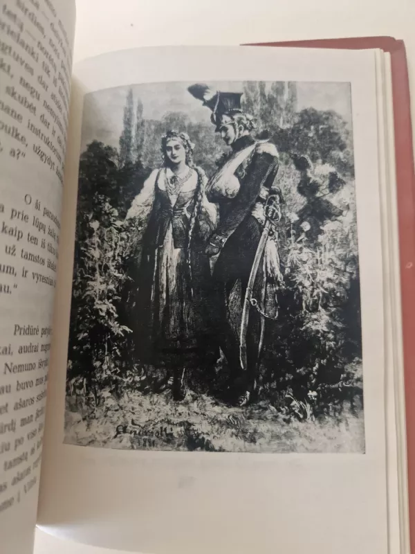 Ponas Tadas - Adomas Mickevičius, knyga 4