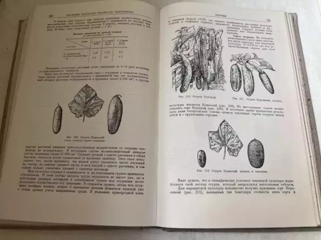 Ovoščevodctvo - Jedelšteinas, knyga 3