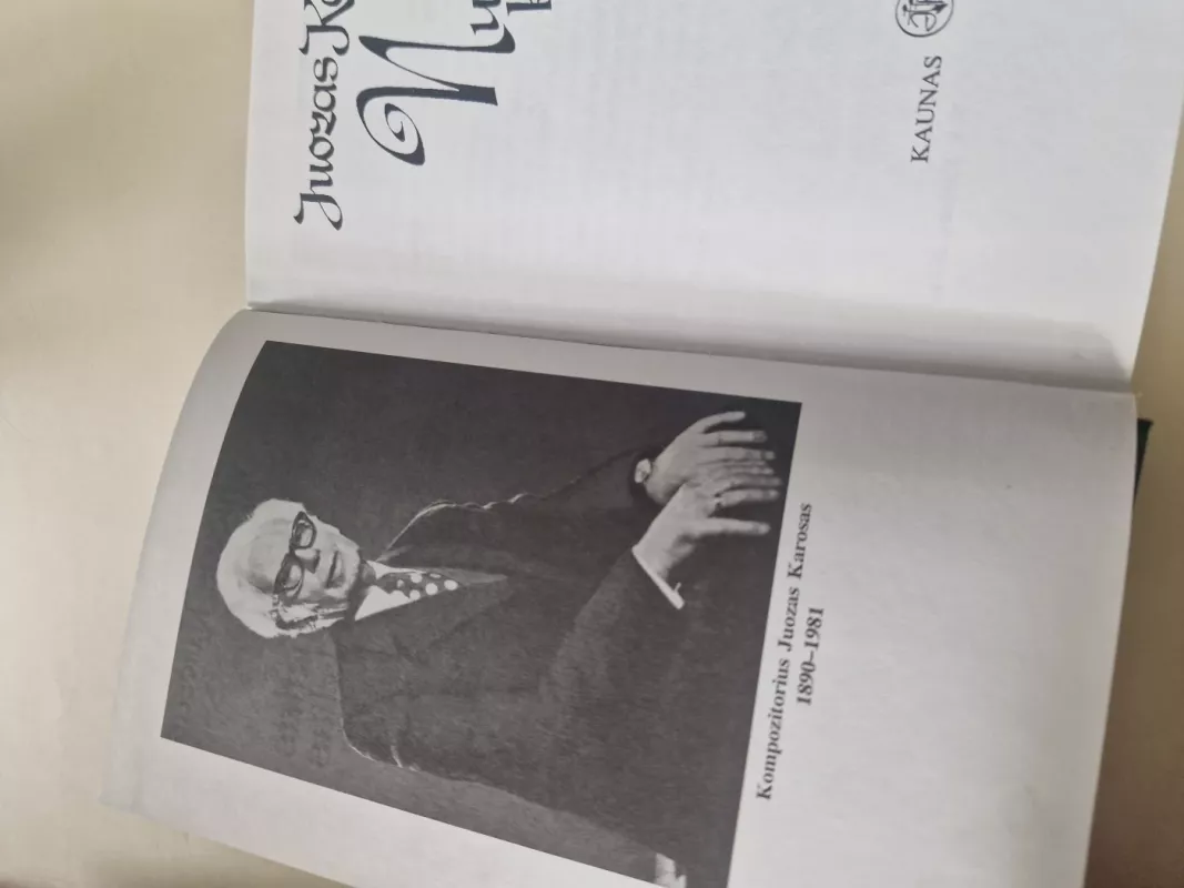 NUEITAS KELIAS (2 knygos) - Juozas Karosas, knyga 3