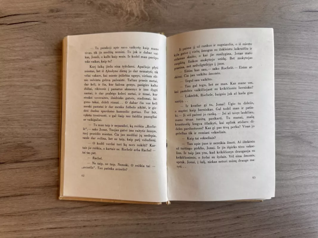 Štai ir viskas - Vytautas Sirijos Gira, knyga 4