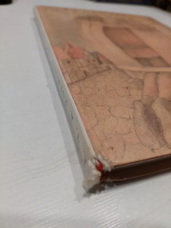 Aukso puodas ir kitos istorijos - Autorių Kolektyvas, knyga 3