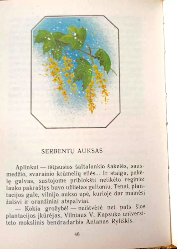 Augalų istorijos - Algirdas Čekys, knyga 3