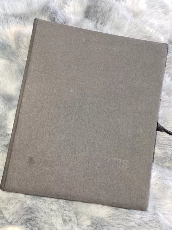 Grožio kirtis - Statkevicius Juozas, knyga 5