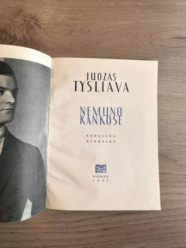Nemuno rankose - Juozas Tysliava, knyga 5