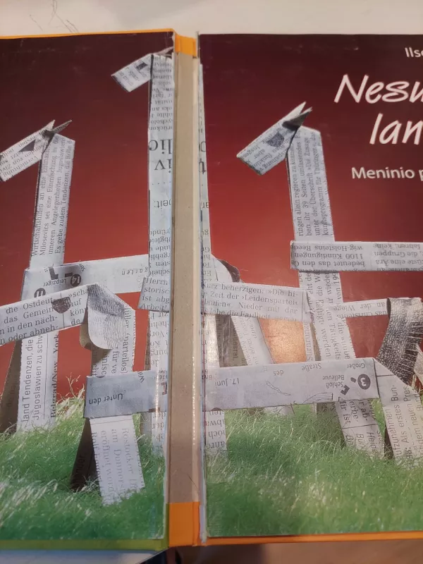 Nesudėtingi lankstiniai: meninio popieriaus lankstymo pamokos - Ilse Nimschowski, knyga 3