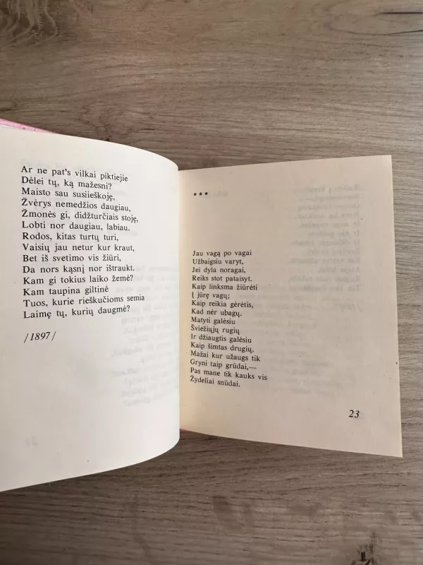 Kas našlaičius priglaus? - Pranas Vaičaitis, knyga 4