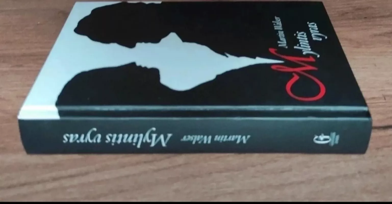 Mylintis vyras - Martin Walser, knyga 3