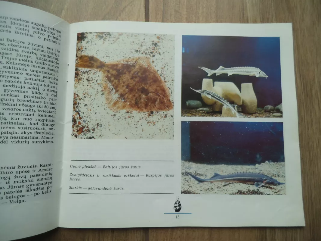 Kviečia jūrų muziejus - Aloyzas Každailis, knyga 4