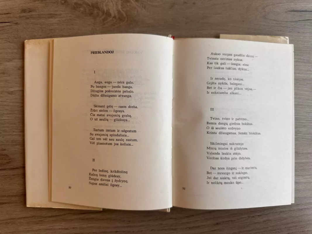 Erdvių ugnys - Petras Vaičiūnas, knyga 5