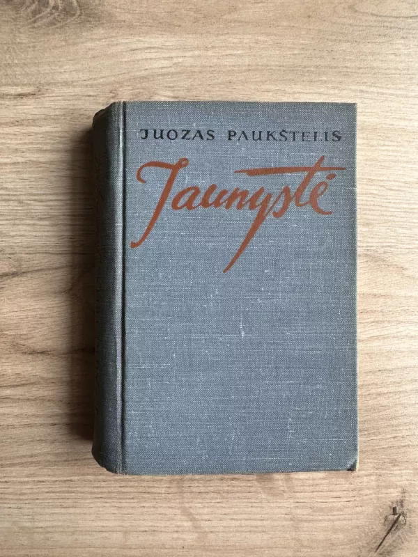 Jaunystė - Juozas Paukštelis, knyga 2
