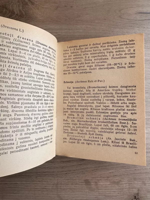 Kambarinės lapinės gėlės - A. Lučinskienė, knyga 4