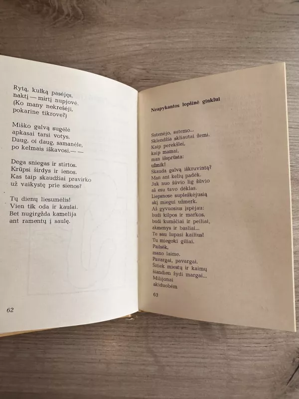 Mažosios poemos - Petras Palilionis, knyga 4