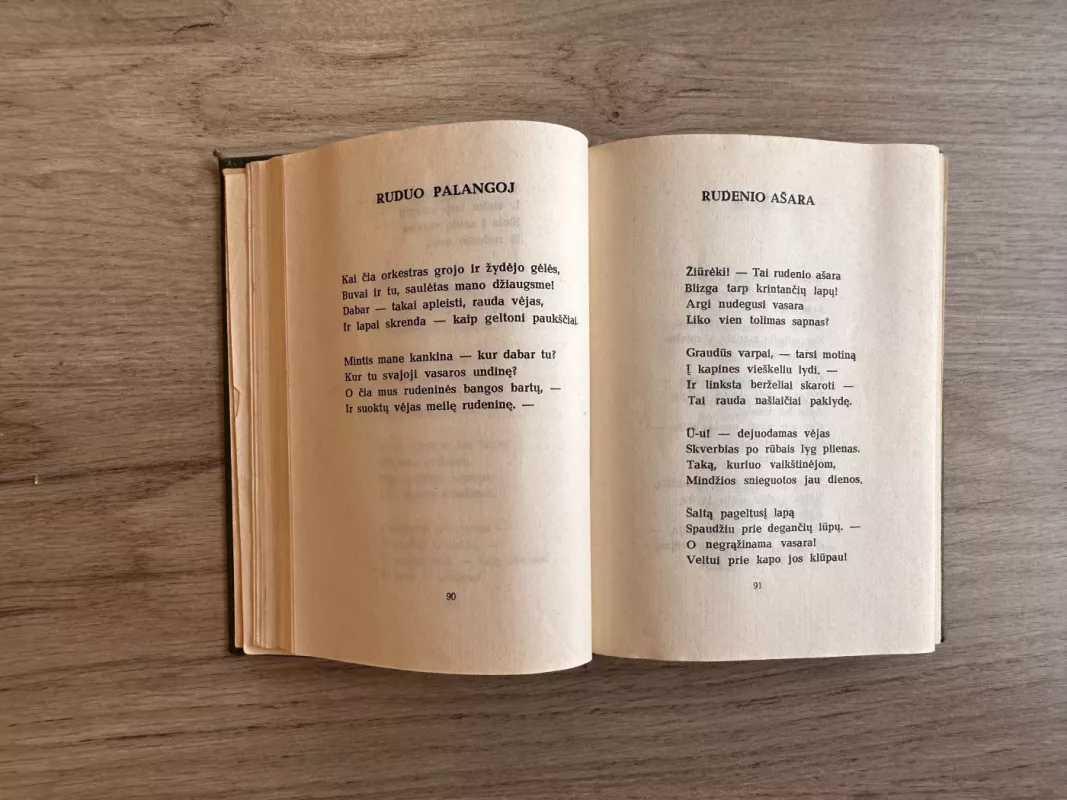 Širdis mana - audrų daina. A. Makūnaitės medžio raižiniai - Salomėja Nėris, knyga 4