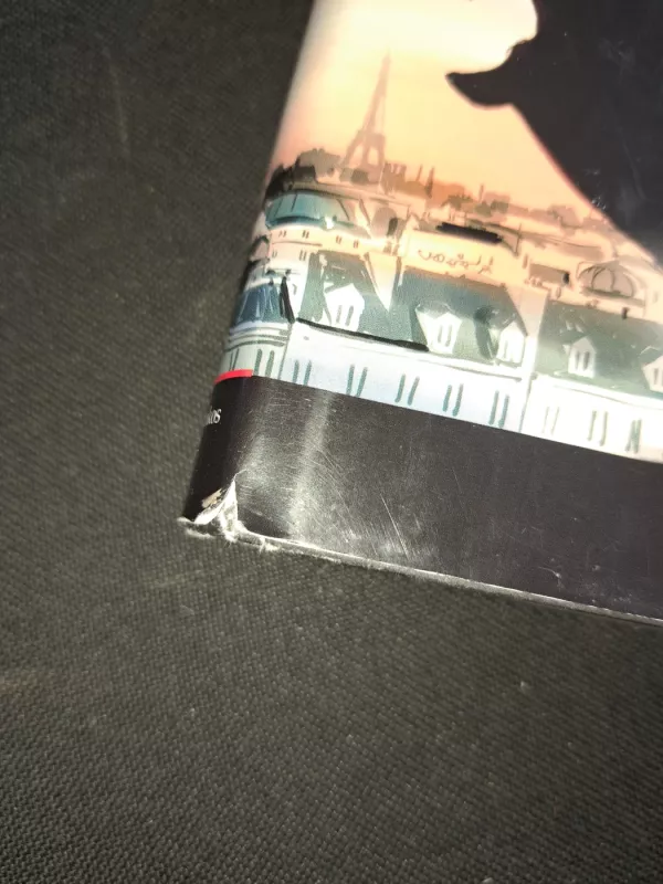 Angelo kvietimas - Guillaume Musso, knyga 6