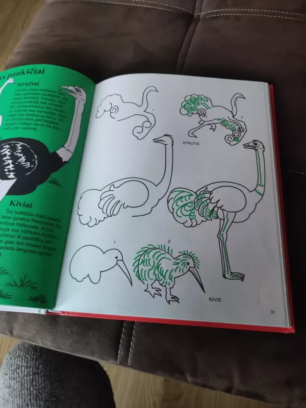 Mokykimės piešti - Barbara Soloff-Levy, knyga 3