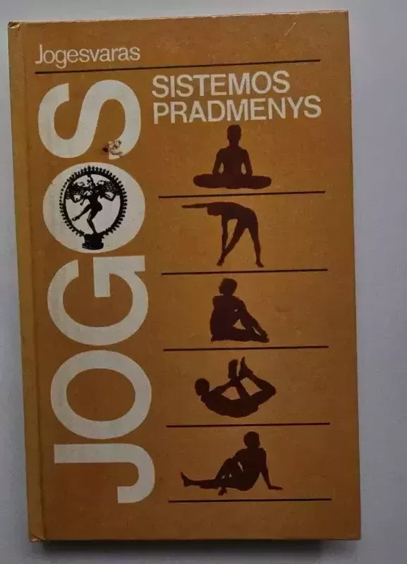 Jogos sistemos pradmenys - Autorių Kolektyvas, knyga 2