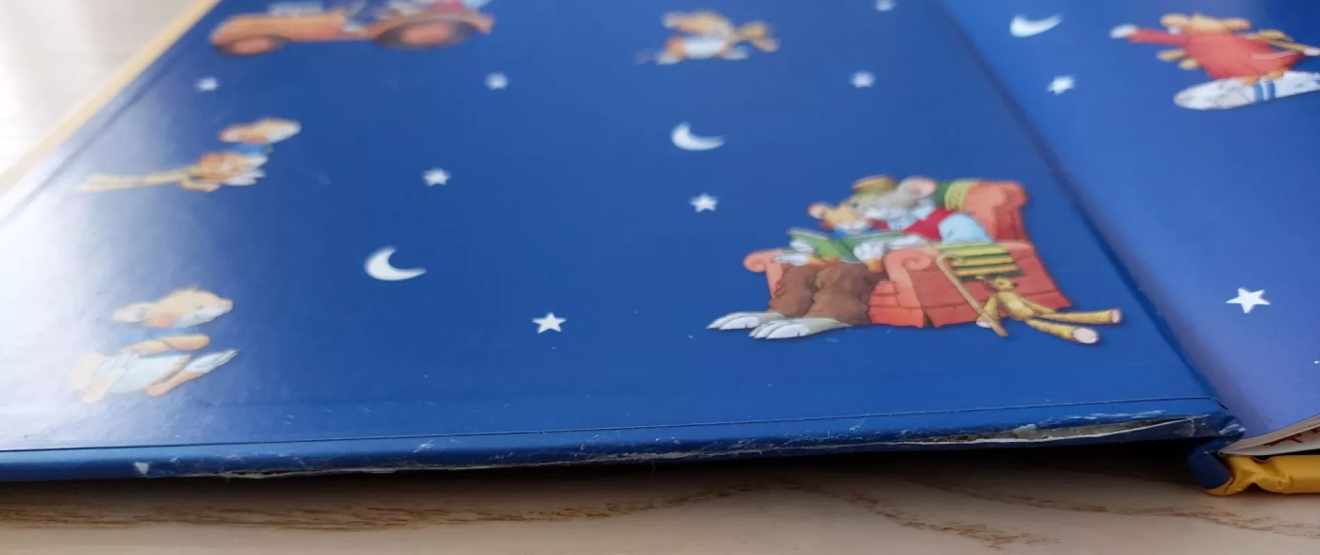 Leo Lausemaus allein bei den Grosseltern - Andrea Dami, knyga