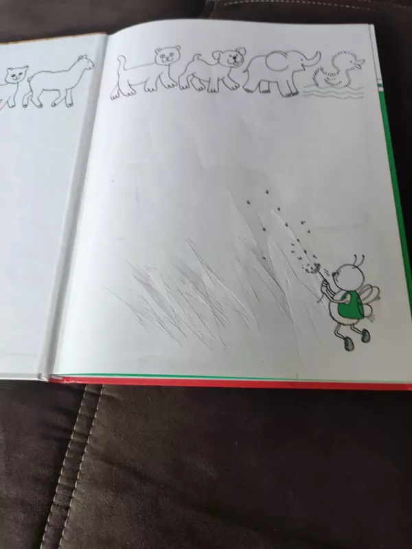 Mokykimės piešti - Barbara Soloff-Levy, knyga 5